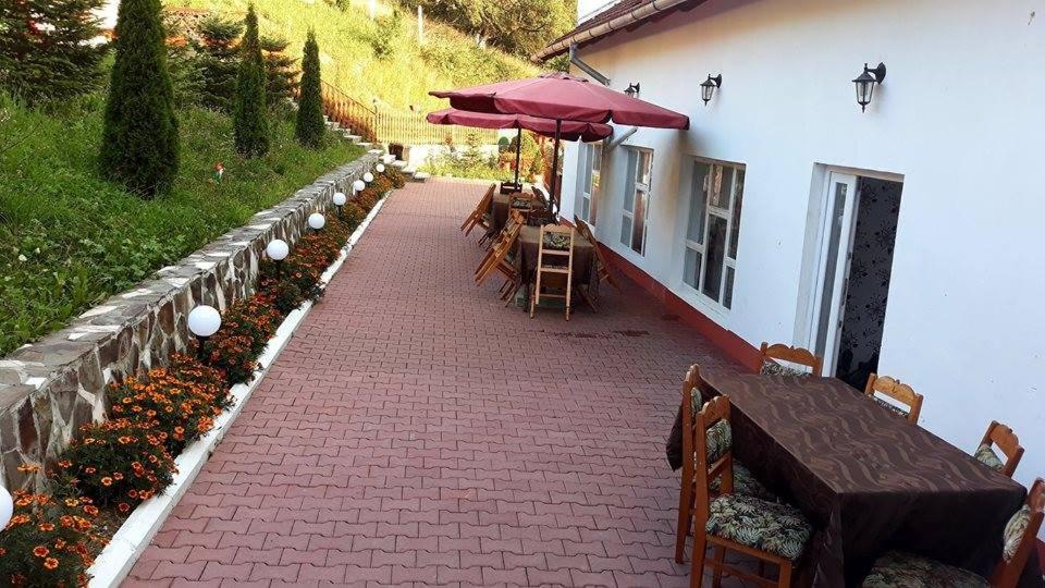 Pensiunea Tinelu Brasov Săcele Exterior photo