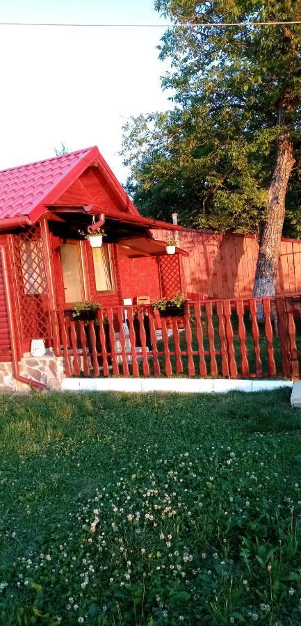Pensiunea Tinelu Brasov Săcele Exterior photo