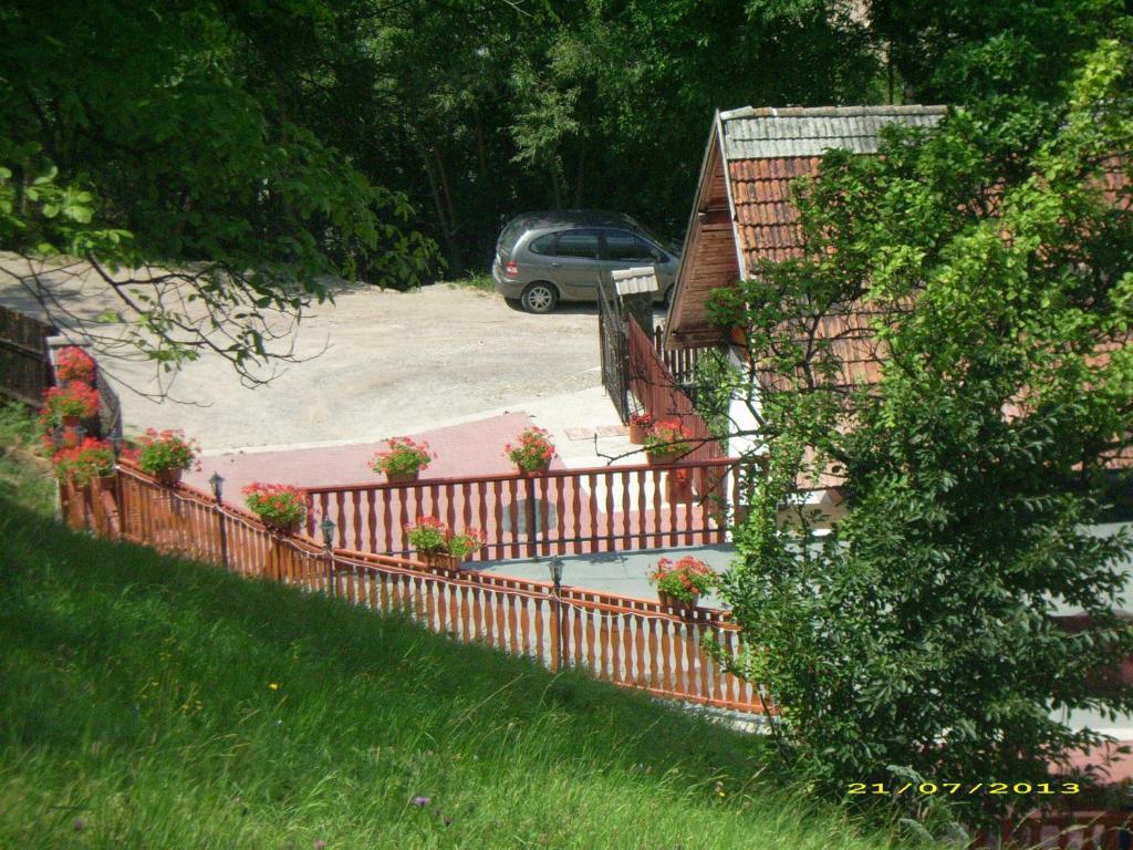 Pensiunea Tinelu Brasov Săcele Exterior photo
