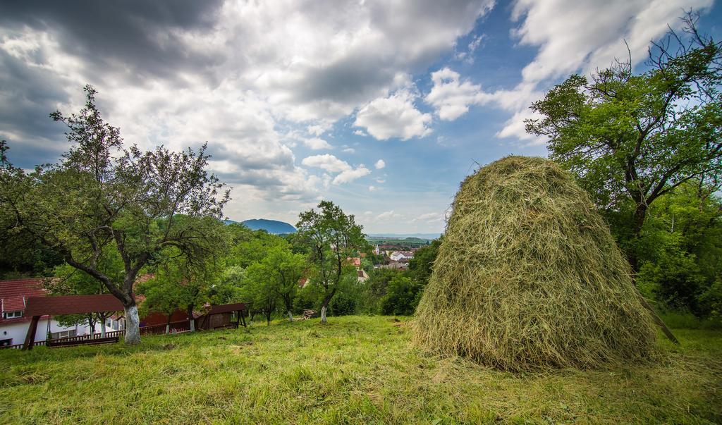 Pensiunea Tinelu Brasov Săcele Exterior photo